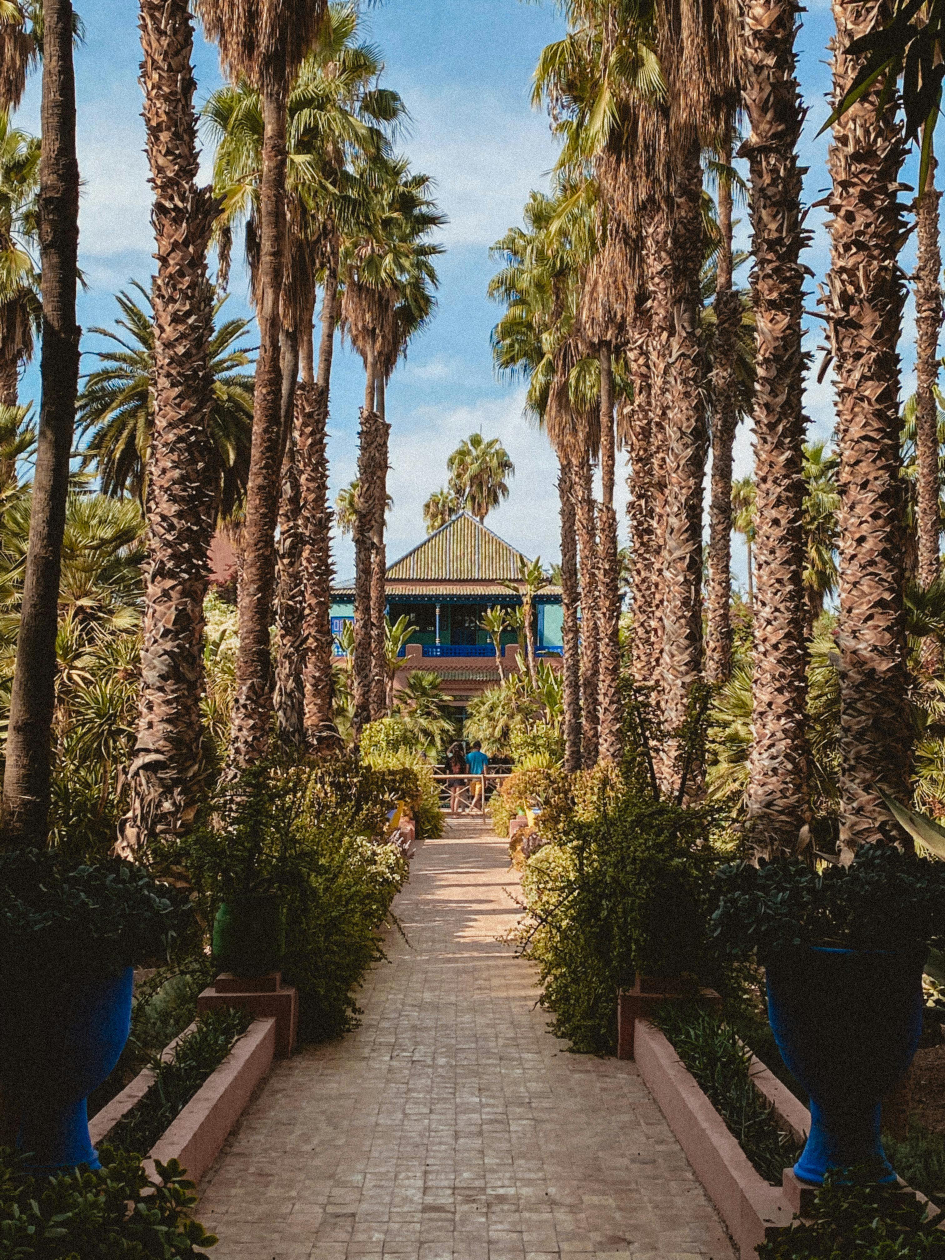 Excursion en calèche et visite du jardin Majorelle